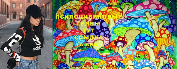 2c-b Краснотурьинск